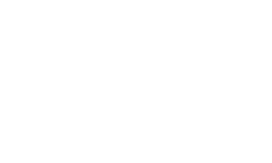GN white logo